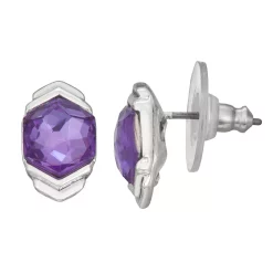 Napier Silver-Tone December Stone Stud Earrings